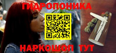 PSILOCYBIN Ирбит