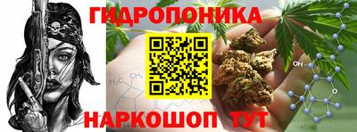 PSILOCYBIN Изобильный