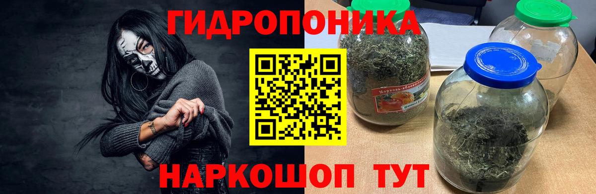 Конопля планчик Гатчина